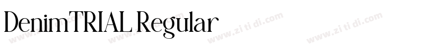 DenimTRIAL Regular字体转换